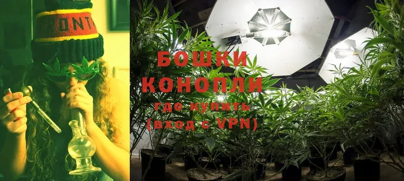 МАРИХУАНА White Widow  Кизел 